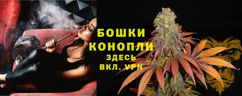 Марихуана SATIVA & INDICA  купить закладку  Городовиковск 